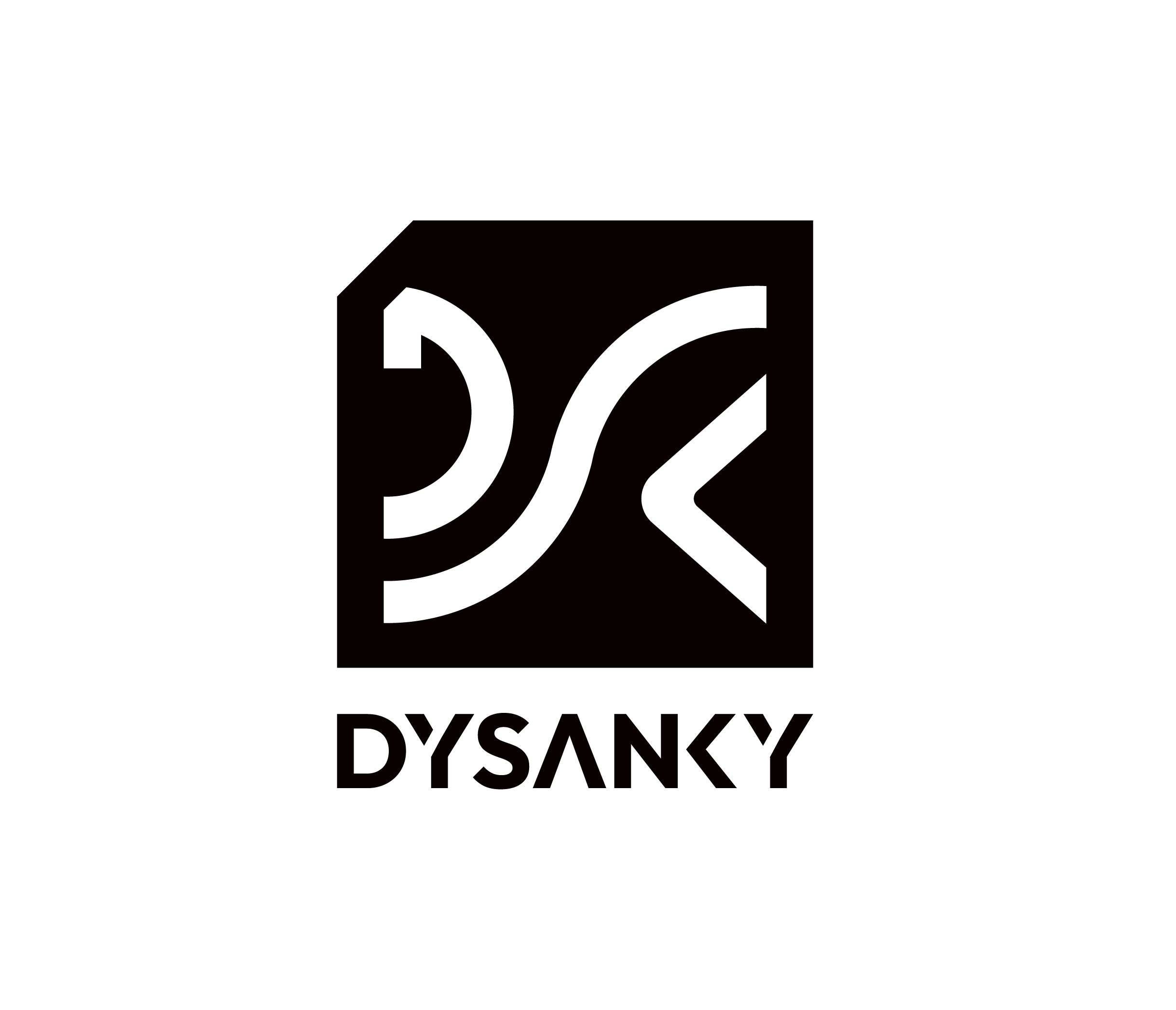 DYSANKY Water Bottle